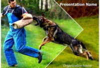 german shepherd k9 training powerpoint template is one of the best police k9 training log template sample