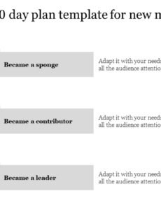 printable effective 30 60 90 day plan template for new managers training program for managers template excel