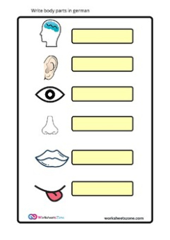 printable german body parts german deutsch worksheets and cards by worksheetszone german body composition training template doc