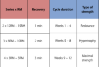 printable how to program linear vs nonlinear periodization?  insync physio 12 week periodized training program template