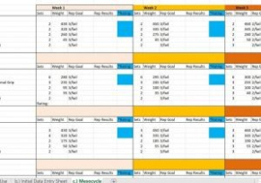 rp diet templates free  carlynstudio renaissance periodization simple training templates doc