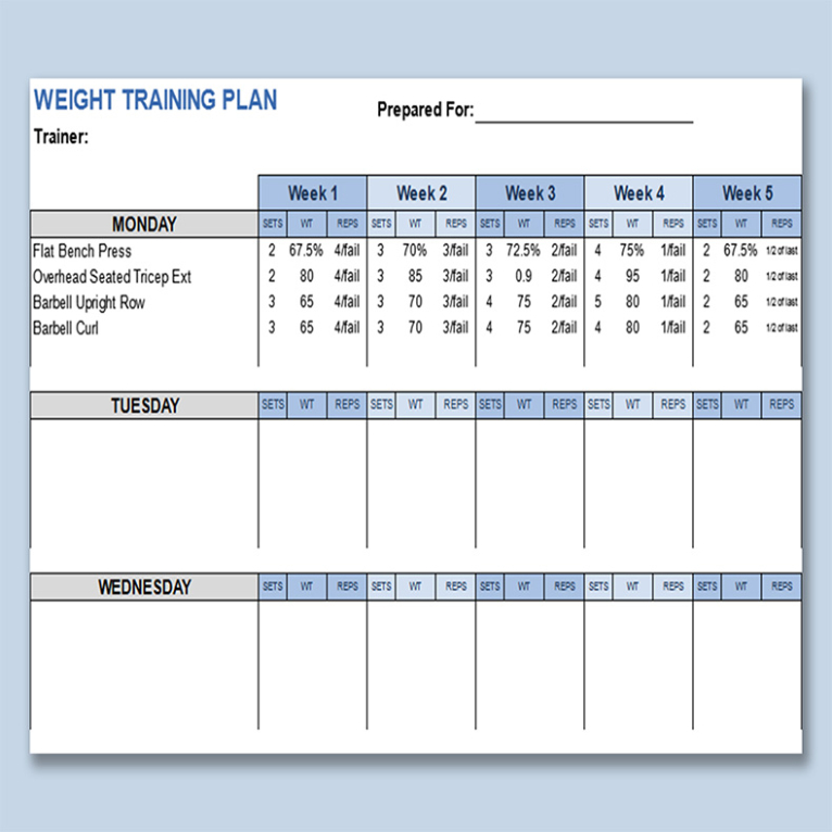 training template excel 6 week training programme template example