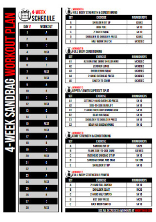 40 sample workout plan templates in pdf  ms word training body builder muscle template