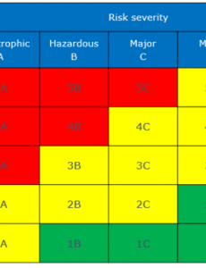 editable risk assessment matrix example  aviation safety  risk matrix risk health and safety training matrix template excel