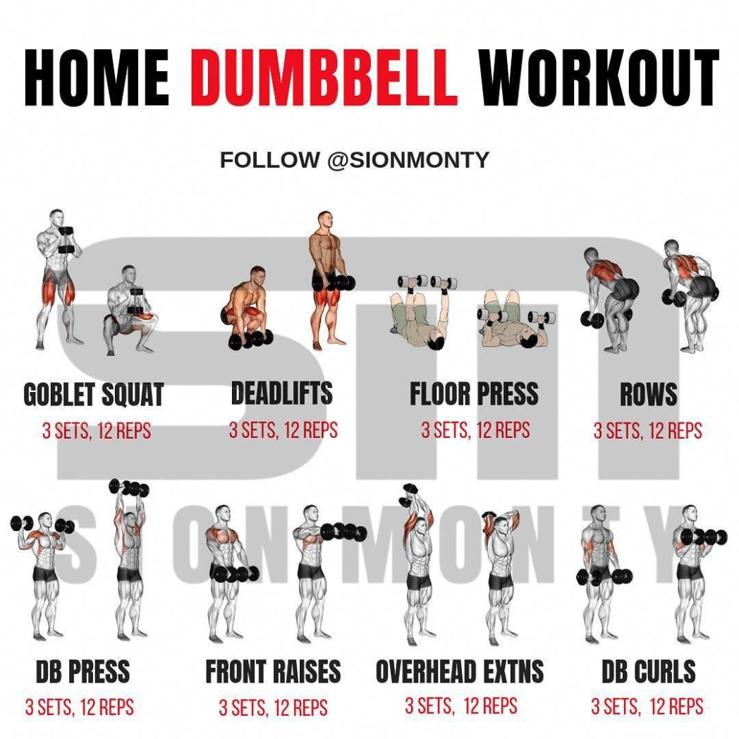 sample gain muscle mass using only dumbbells with 10 demonstrated exercises training body builder muscle template pdf