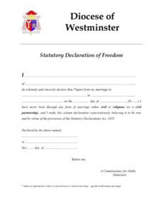 Affidavit Of Freedom To Marry Template Excel Sample