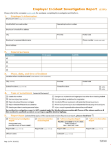 Affidavit Of Incident Report Template Excel