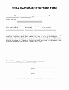 Editable Affidavit Of Guardianship For Scholarship Template Doc