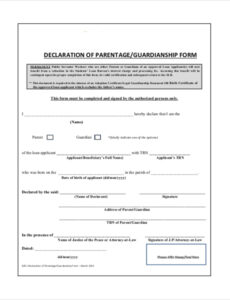 Editable Affidavit Of Guardianship For Scholarship Template Excel