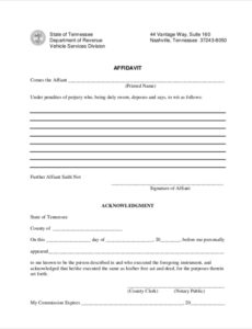 Free Blank Affidavit Of Explanation Template Pdf