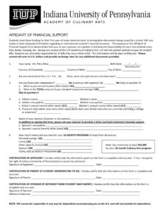 Free Blank Affidavit Of Financial Support  Template Excel Sample