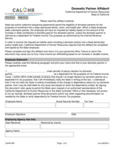 Printable Affidavit Of Domestic Partnership Template Excel Sample