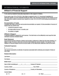 Blank Affidavit Of Financial Support Template