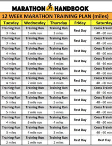 editable 12 week marathon training plan  marathon training plan marathon training marathon training marathon training calendar template sample