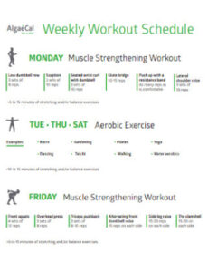 free 19 sample workout schedule templates in pdf  ms word fitness training calendar template word