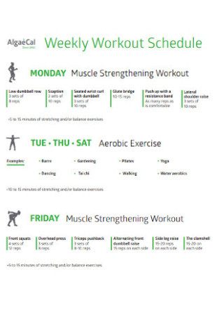 free 19 sample workout schedule templates in pdf  ms word fitness training calendar template word